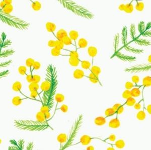 Meet your Posher, Jade